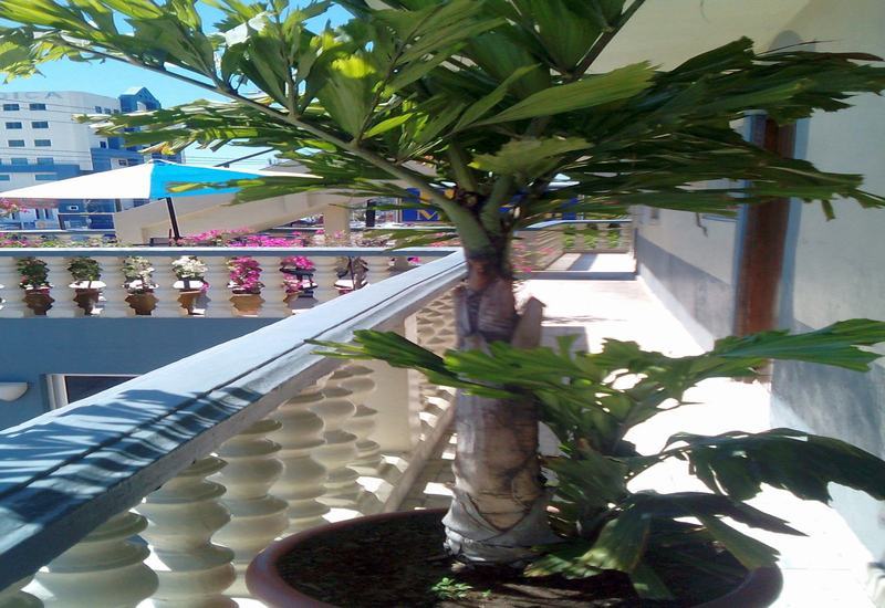 Hotel Mazatlan Luaran gambar