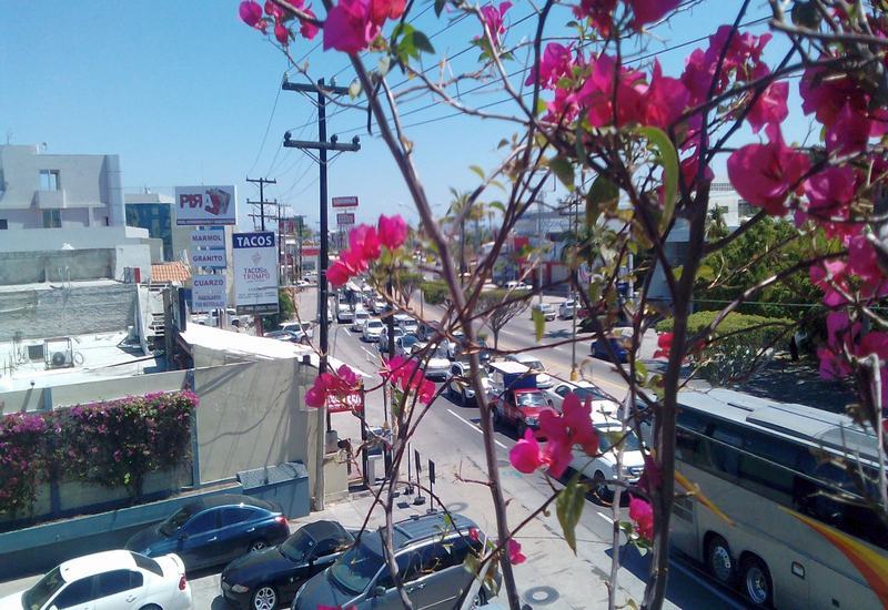 Hotel Mazatlan Luaran gambar